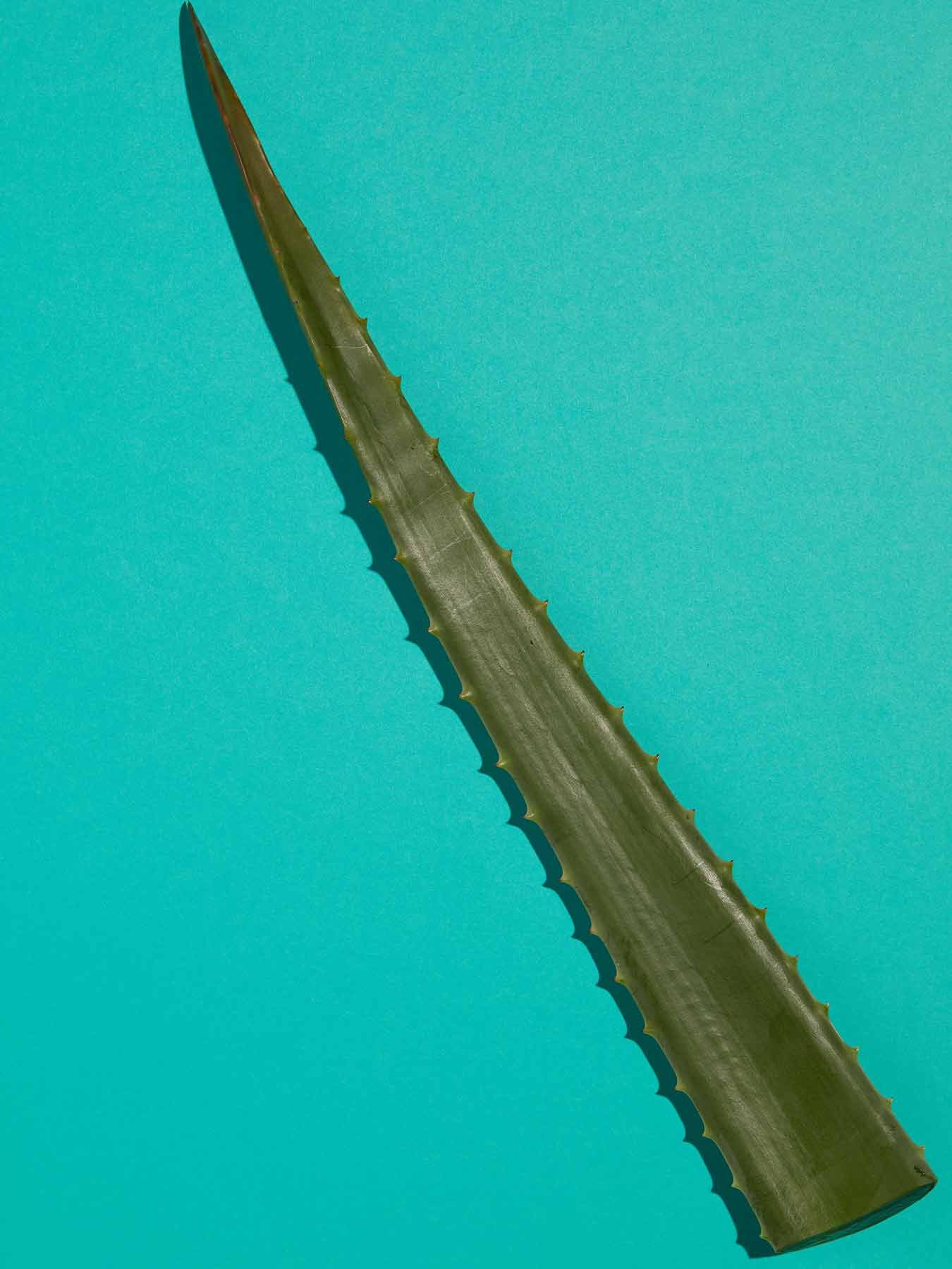 3600542290470 T2